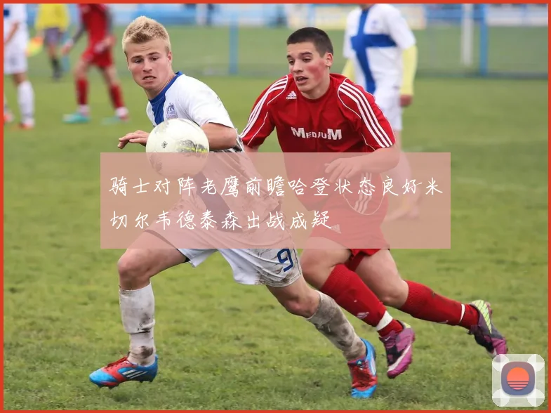 骑士对阵老鹰前瞻哈登状态良好米切尔韦德泰森出战成疑